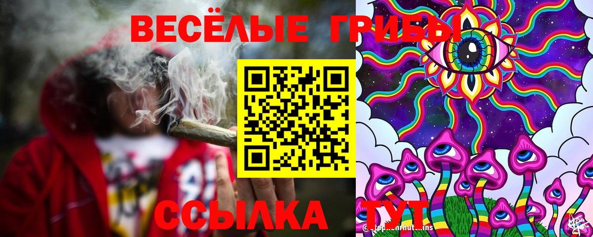Псилоцибиновые грибы Psilocybe Избербаш